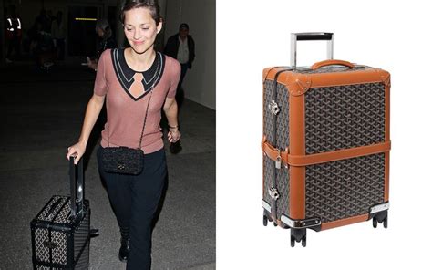 goyard bags celebrities|who owns goyard brand.